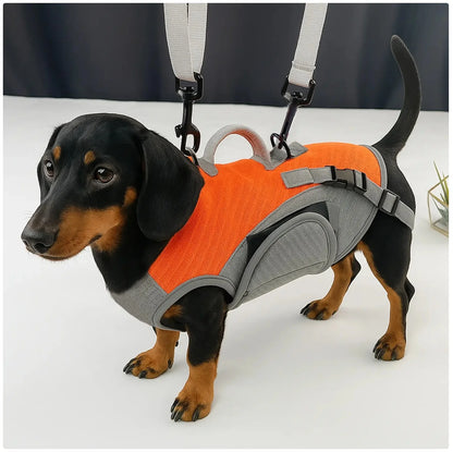 Portable Dog Carrier Backpack - Hands - Free Pet Travel Bag for Outdoor Adventures