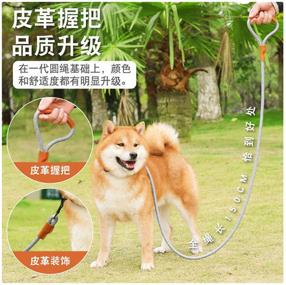 Reflective Dog Leash with Leather Handle - Durable Nylon Rope for Safe Walking
