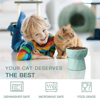 Cat Bowls,Ceramic Cat Bowls anti Vomiting,Raised Food and Water Bowl Set for Cats and Small Dogs,13.5 Oz,Green